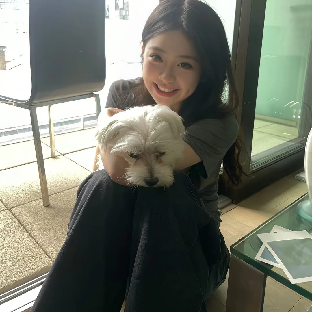 狮子狗行动